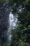 Wasserfall im Tropischen Regenwald