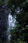 Wasserfall im Fidschi Urwald 