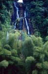 Geheimisvoller Wasserfall im Fiji Regenwald