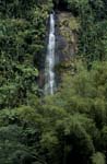 Wasserfall inmitten des Fidschi Regenwaldes