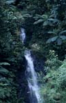 Wasserfall im immergrünen Regenwald