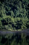 Regenwald spiegelt sich im Navua River 